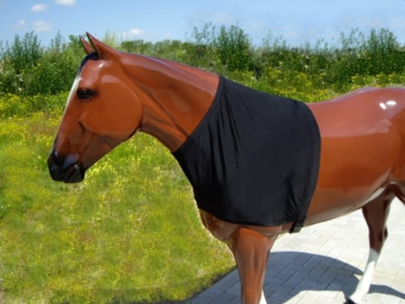 Sleezy-Hals-, Brust-, Schweifschutz