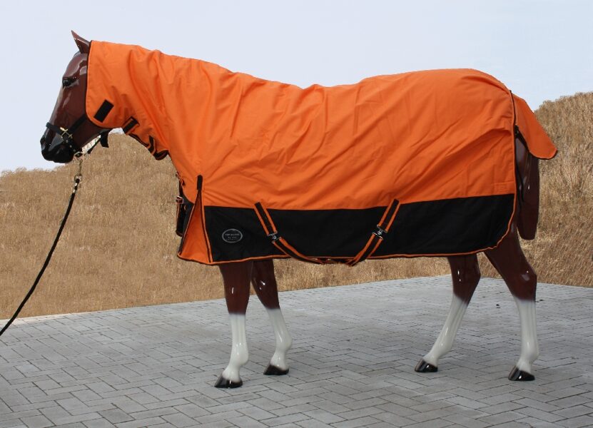 Outdoor, Regen, Winter