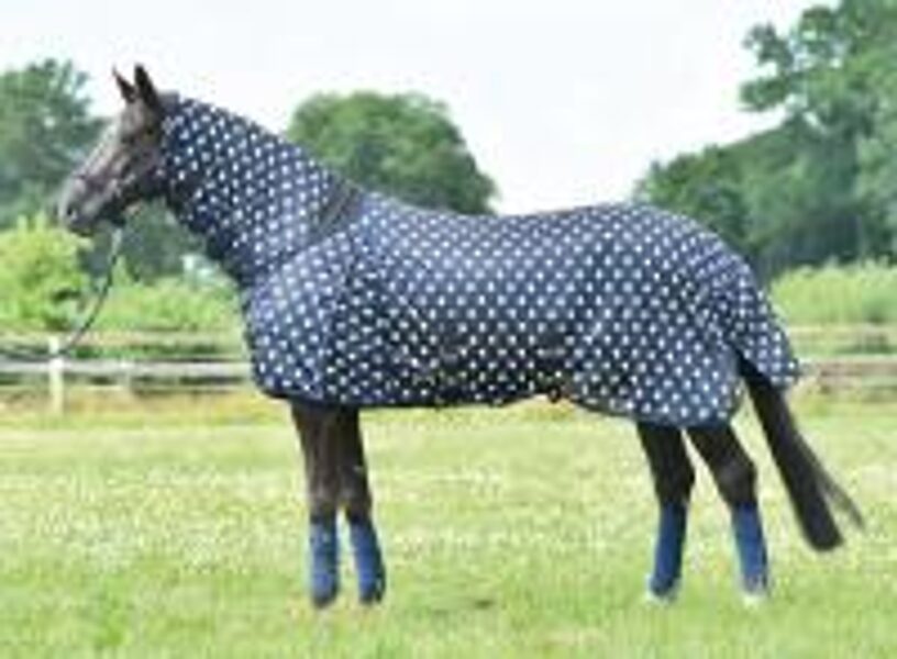 Fliegen / Ekzemer / Schutz