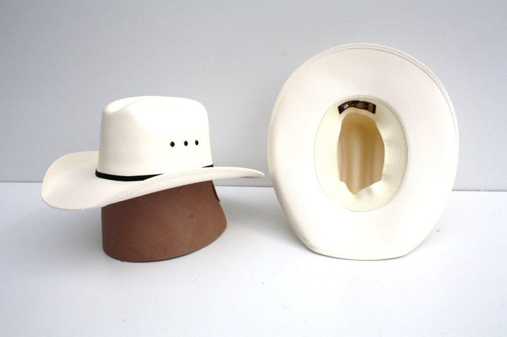 EXCEART 10St Mini-Cowboyhut Cowboyhut für Kinder Mini-Strohhüte zum Basteln  Hauben für Kinder rosafarbener Cowboyhut kleine hüte kleine Hutstütze  Mehrfarbig Spielzeugzimmer Getränke: : Spielzeug