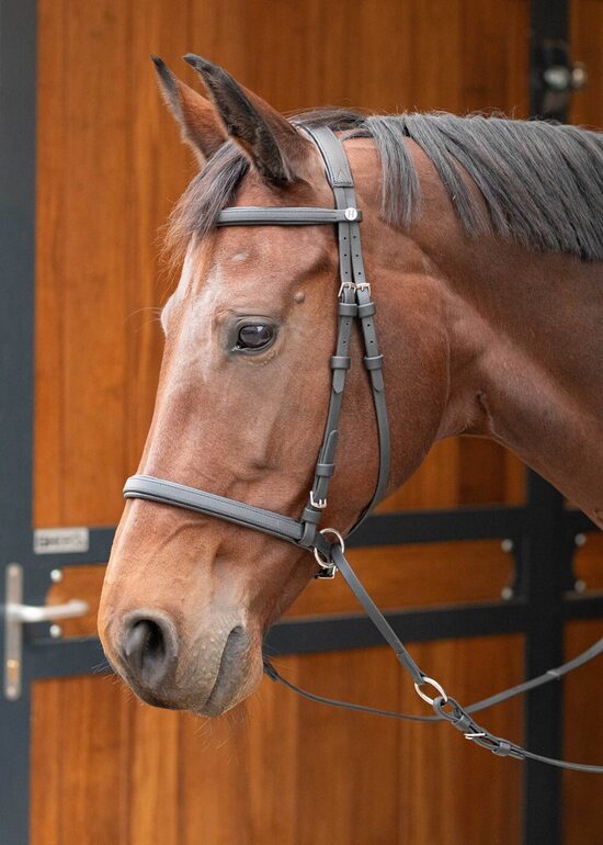 Trense Gebisslos Easy Care