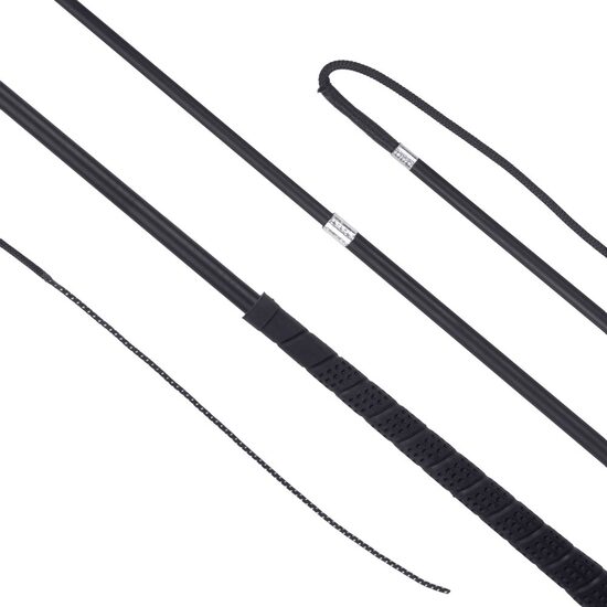 Teleskop-Longierpeitsche Carbon