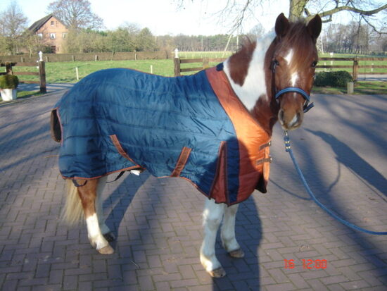 xStalldecke, 240gr, blau/orange Gr.125 Neu