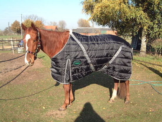 xStall-Thermodecke, schwarz, 350gr. 