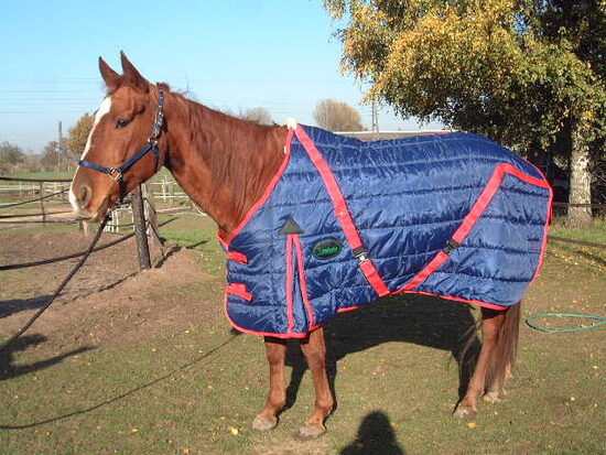 xStall-Thermodecke 350gr. blau/rot