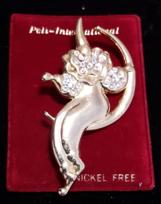 Anstecknadel Clown im Mond