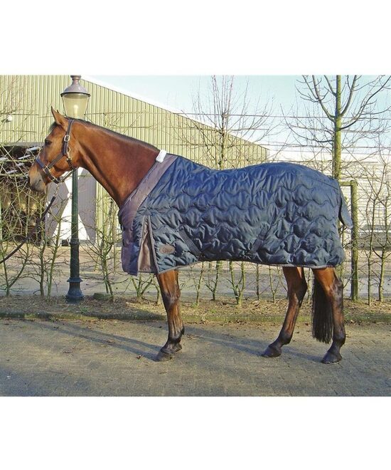 XLuxe Thermo-, Stall-  oder Unterdecke 200gr.