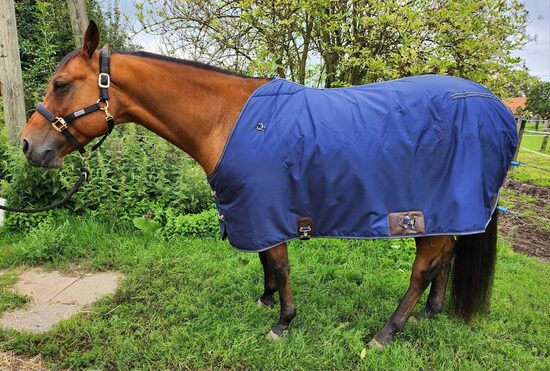 QH Outdoordecke in Big "D" Schnitt, Decke 300gr. navy 80"