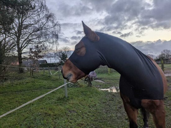 Lamicell Sleazy, schwarz