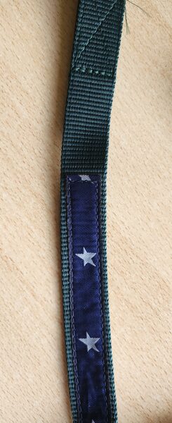 Hundeleine "Stars", grün/navy mit Sternchen