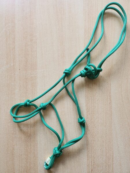 Profi KNOTENHALFTER, handmade, TRAINERQUALITÄT, grasgrün