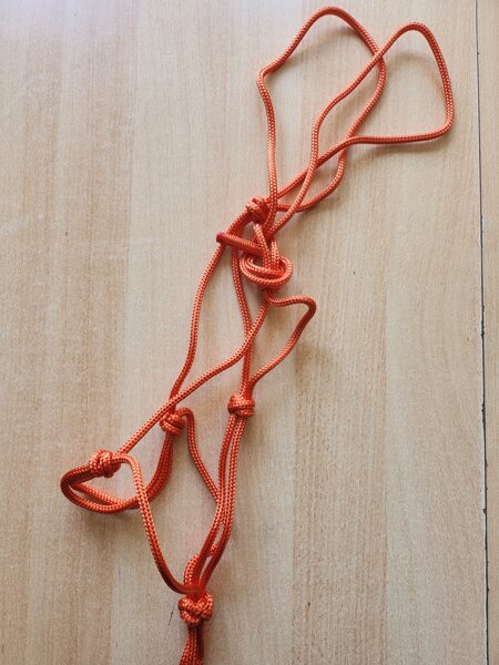 Profi KNOTENHALFTER, handmade, TRAINERQUALITÄT, orange