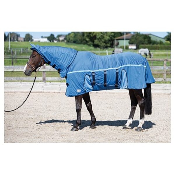 XFliegendecke Mesh-Pro Belly, mit Ohren