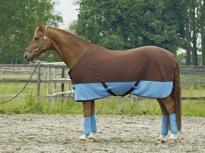 Abschwitzdecke "Comfort" Cross, ohne Hals, abnehmbare Kreuzgurte