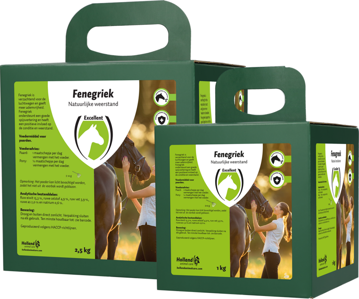 Fenegriek, Bockshornklee, gesunde Atemwege, Atemfreiheit! 