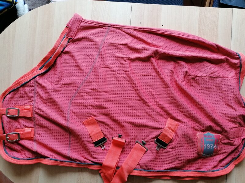 Pony/Fohlen QuickDry-Abschwitzdecke, 75cm, lachs/orange