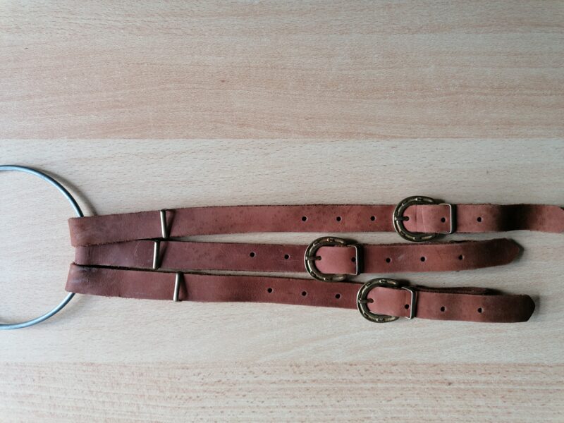 37 Lange Wildleder Kinnriemen mit Hufeisen Schnalle