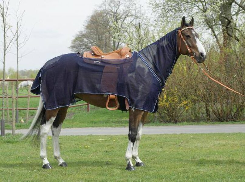 Fliegen-Ausreite-Decke MONTANA 115cm Rückenlänge, für ungestörten Reitspaß