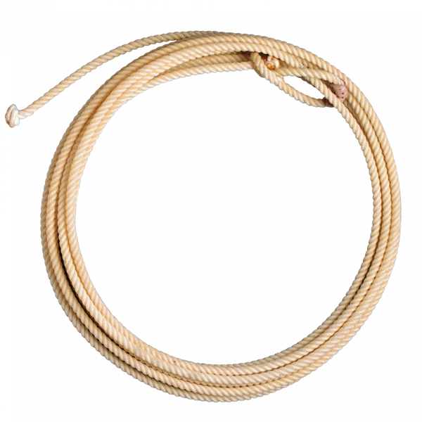 Lasso USA