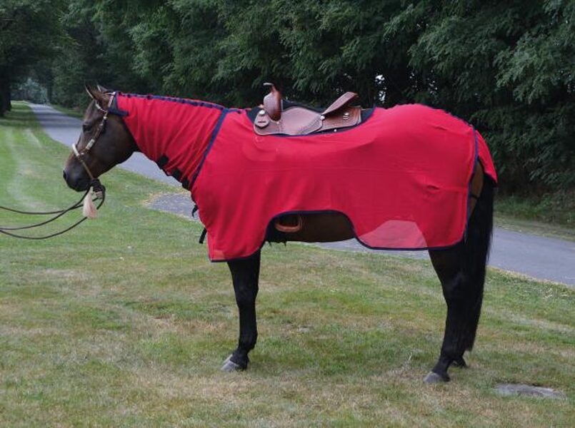 Fliegen-Ausreite-Decke MONTANA 135cm Rückenlänge, für ungestörten Reitspaß