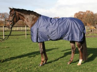 xWeidedecke navy, 0gr. 155cm Rückenlänge