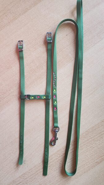 Mini Hund, Katzengeschirr soft