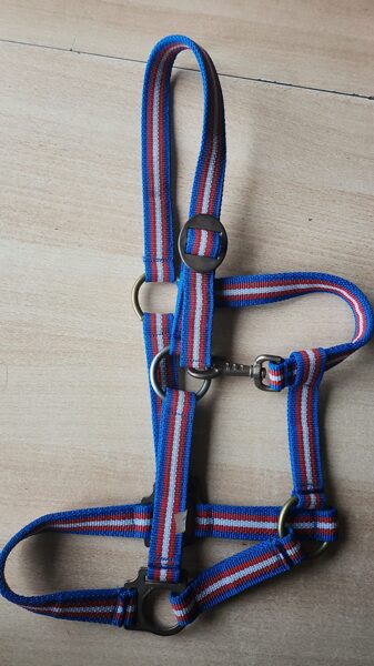 Div. Ponyhalfter gestreift