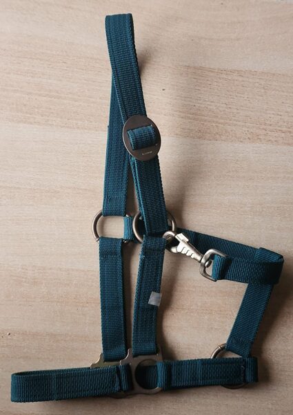 Halfter dunkelgrün Pony Gr. 1