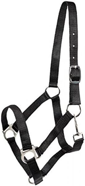 Pfiff Halfter, M- Cob schwarz